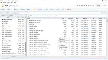 x2y Extractor Main Interface